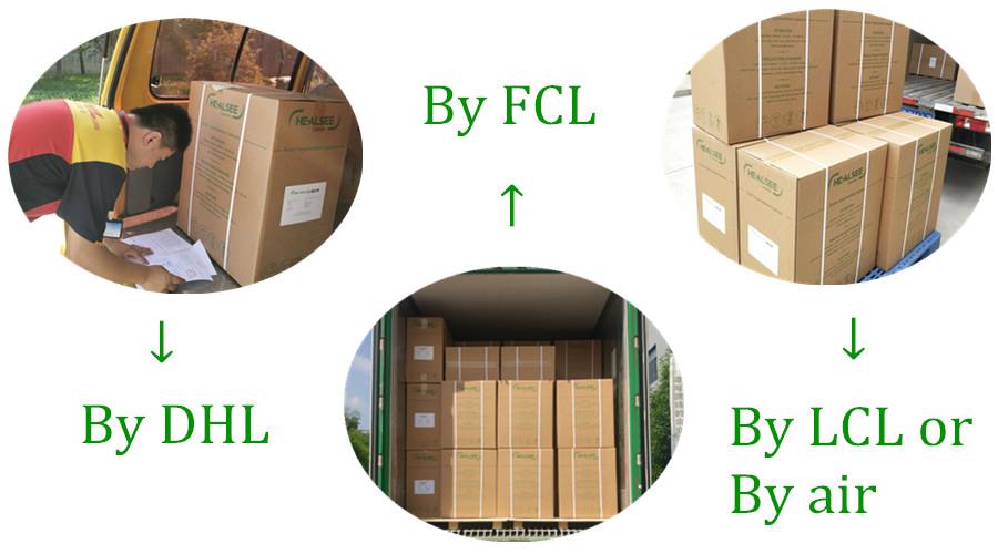 Healsee Capsule shipping